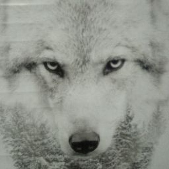 Meet your Posher, Dorothy - Picture 1 of 1